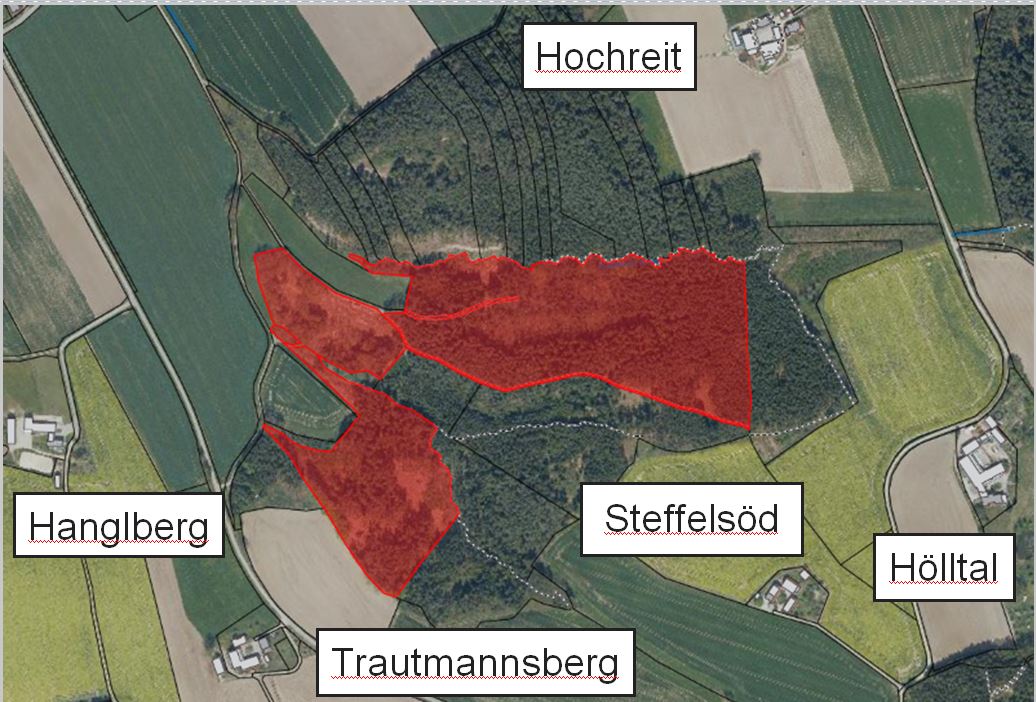 Entwurfsplanung des Bebauungsplans Waldfriedhof Schalkham 2